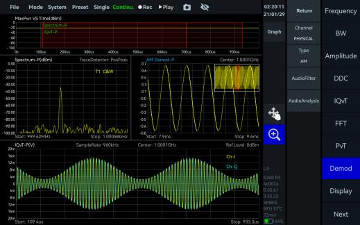 YSA-P200 — AM / FM Demodulation