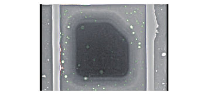 AXI-300 Molybdenum Inspection Result